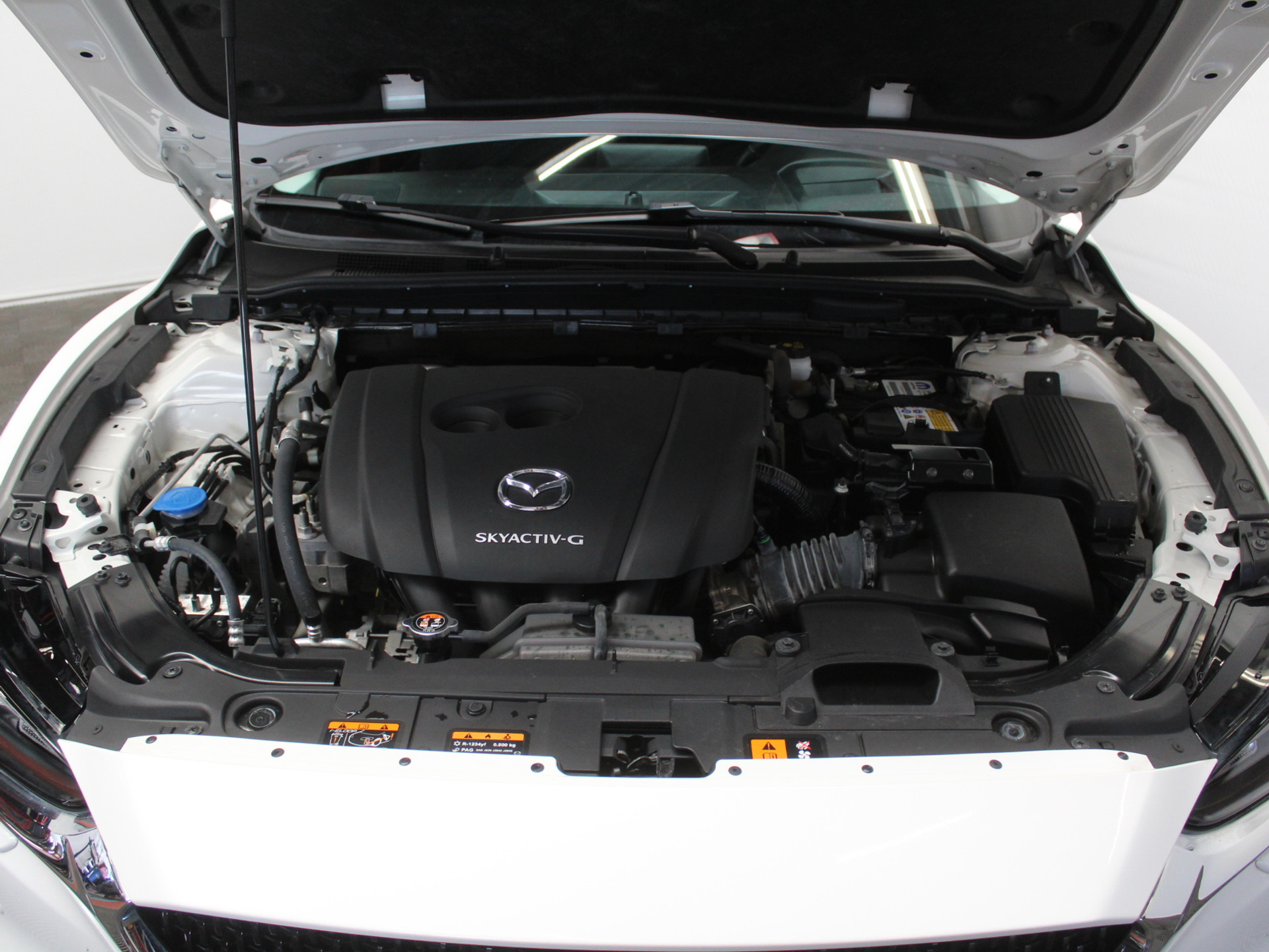 53290451-56.jpg