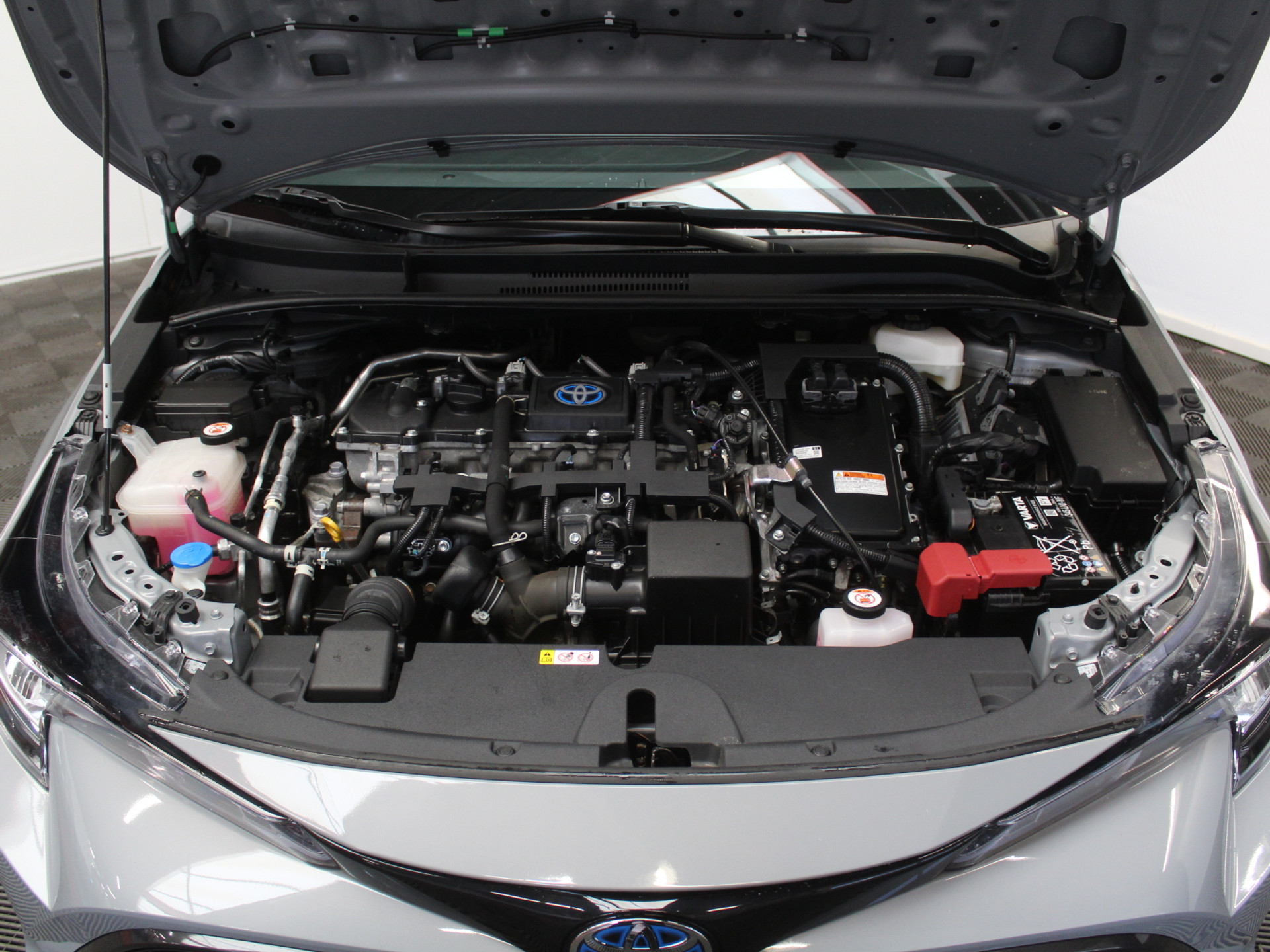 53547256-54.jpg