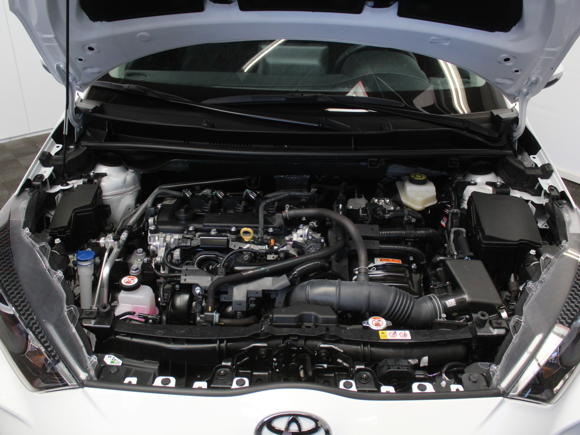 54450095-50.jpg