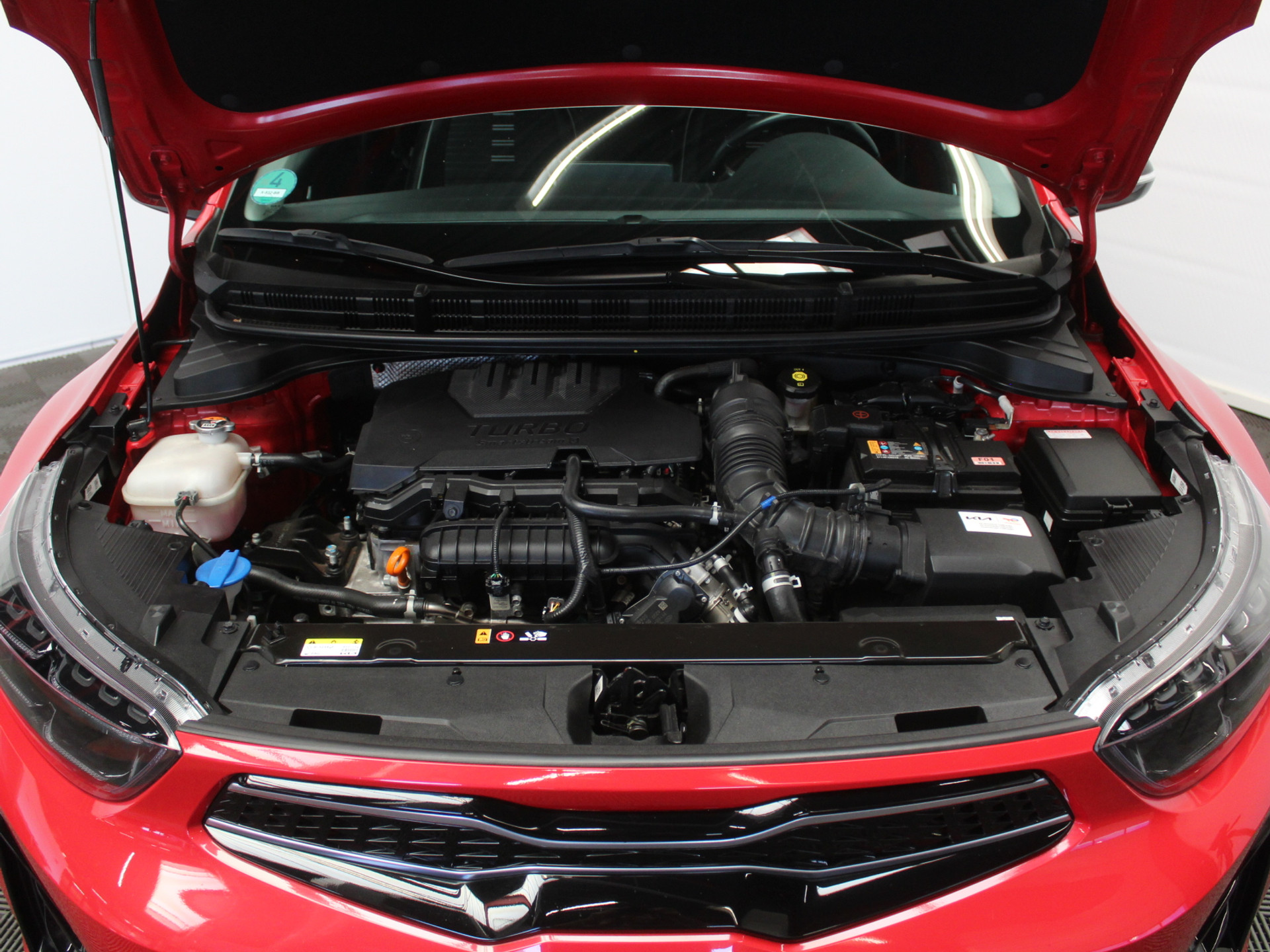 54548583-61.jpg